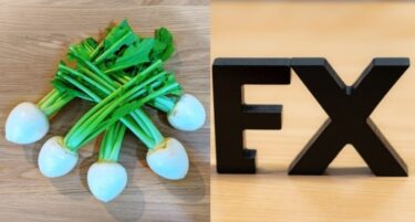 三菱UFJ eスマート証券（旧auカブコム証券）FXの評判は？代用有価証券で0円FX