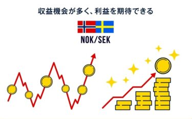 ノルウェー/スウェーデン(NOK/SEK)トライオートFX設定をブログで解説